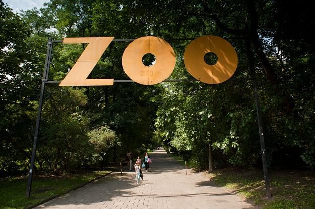 Ogród zoologiczny w warszawie