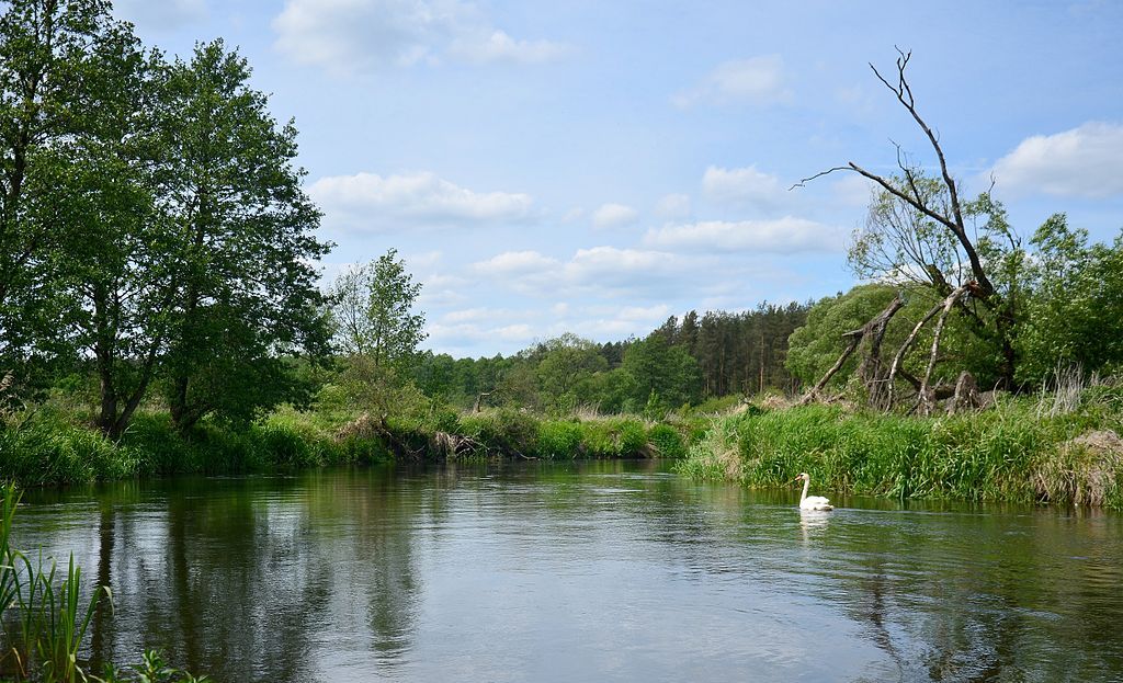 zdj-cie-krajobraz-bagiennej-doliny-bagienna-dolina-drw-cy
