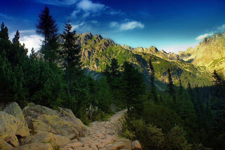 Zdjęcie Tatrzański Park Narodowy Tatrzański Park Narodowy Tatry i