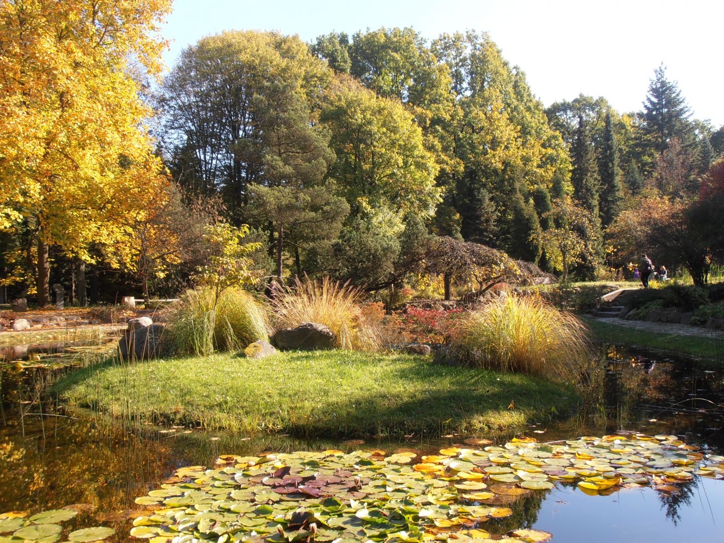 arboretum-szko-y-g-wnej-gospodarstwa-wiejskiego-rog-w-dzkie