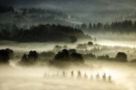 Andrzej Furs - Wystawa fotografii